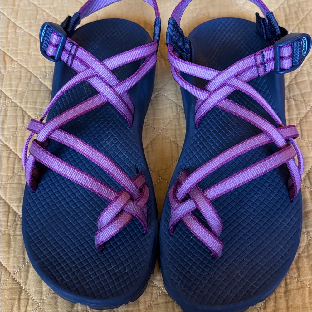 Chaco Women's Navy Blue Sandals with Purple Straps